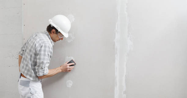 Best Real Estate Mold Inspection  in Koloa, HI