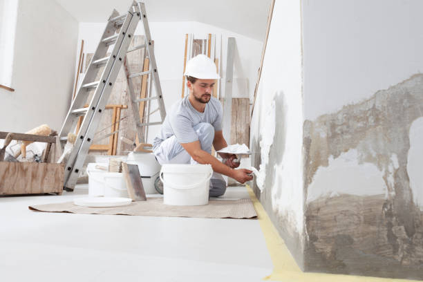 Best Mold Remediation for Healthcare Facilities  in Koloa, HI