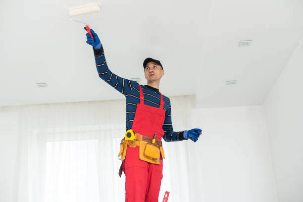Best Mold Odor Removal Services  in Koloa, HI
