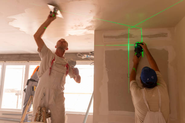 Best Emergency Mold Remediation  in Koloa, HI