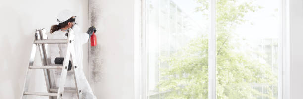 Best Post-Construction Mold Inspection  in Koloa, HI