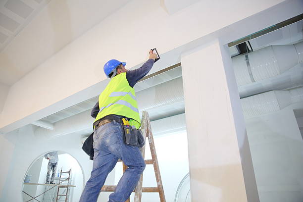 Koloa, HI Mold Removal Company