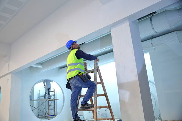 Best Asbestos and Lead Testing During Mold Inspection  in Koloa, HI